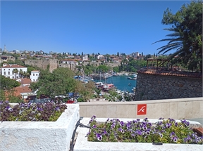 IMG_20240507_150331_435
